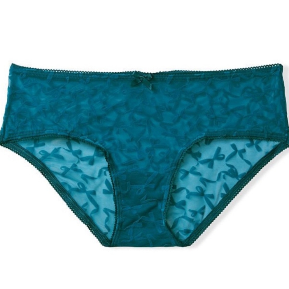 Victoria’s Secret Hiphugger Teal Velvet Bows Sheer Lace Panties Size Medium NWOT